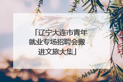 辽宁大连市青年就业专场招聘会搬进文旅大集