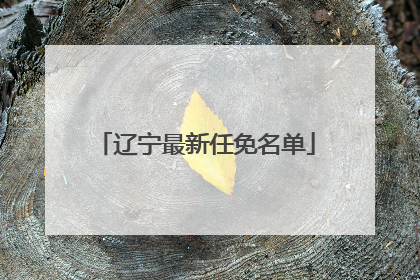 辽宁最新任免名单