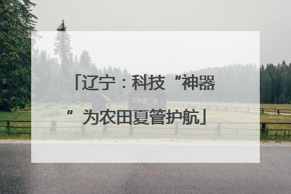 辽宁：科技“神器”为农田夏管护航