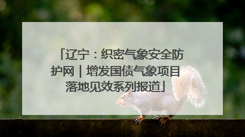 辽宁：织密气象安全防护网｜增发国债气象项目落地见效系列报道