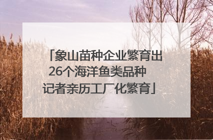 象山苗种企业繁育出26个海洋鱼类品种 记者亲历工厂化繁育