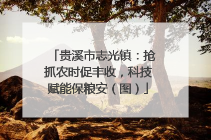 贵溪市志光镇：抢抓农时促丰收，科技赋能保粮安（图）