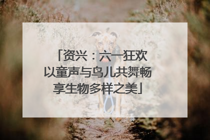 资兴：六一狂欢 以童声与鸟儿共舞畅享生物多样之美