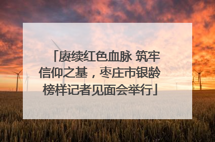 赓续红色血脉 筑牢信仰之基，枣庄市银龄榜样记者见面会举行