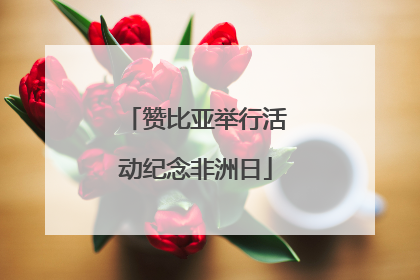 赞比亚举行活动纪念非洲日