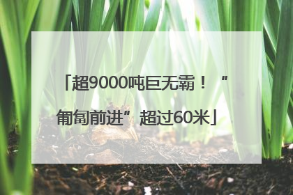 超9000吨巨无霸！“匍匐前进”超过60米