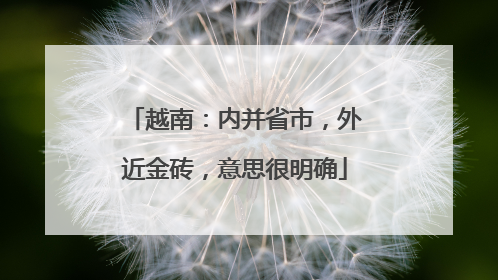 越南：内并省市，外近金砖，意思很明确