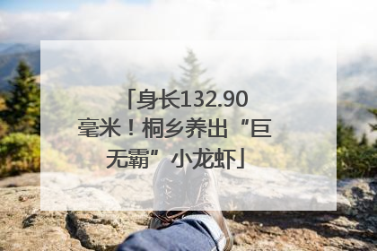 身长132.90毫米！桐乡养出“巨无霸”小龙虾