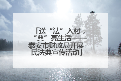 送“法”入村，“典”亮生活——泰安市财政局开展民法典宣传活动