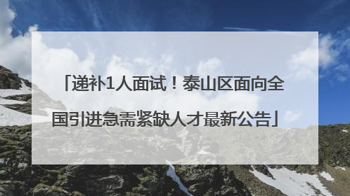 递补1人面试！泰山区面向全国引进急需紧缺人才最新公告