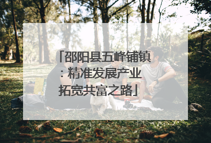 邵阳县五峰铺镇：精准发展产业 拓宽共富之路