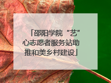 邵阳学院“艺”心志愿者服务站助推和美乡村建设
