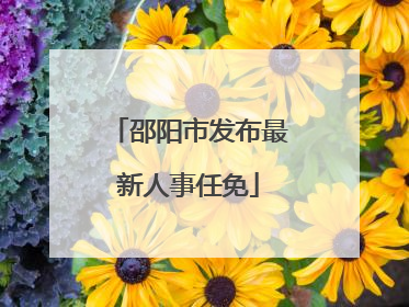 邵阳市发布最新人事任免