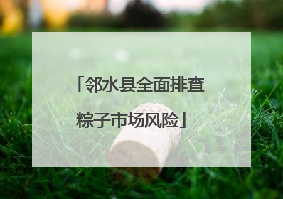 邻水县全面排查粽子市场风险