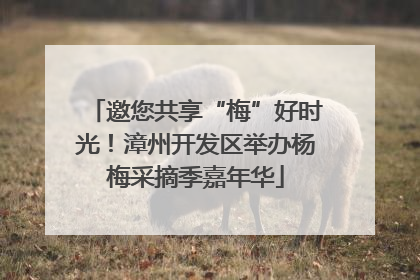 邀您共享“梅”好时光！漳州开发区举办杨梅采摘季嘉年华