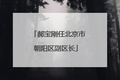 郝宝刚任北京市朝阳区副区长