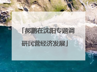 郝鹏在沈阳专题调研民营经济发展