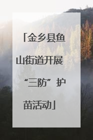 金乡县鱼山街道开展“三防”护苗活动