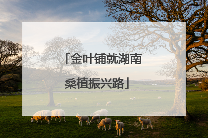 金叶铺就湖南桑植振兴路