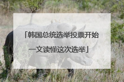 韩国总统选举投票开始 一文读懂这次选举