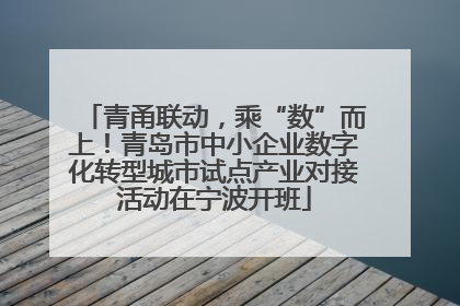 青甬联动，乘“数”而上！青岛市中小企业数字化转型城市试点产业对接活动在宁波开班