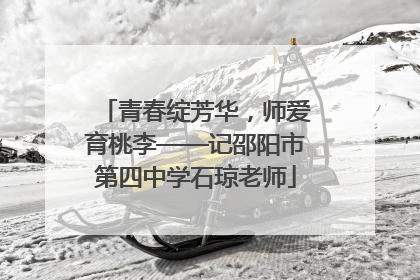 青春绽芳华，师爱育桃李——记邵阳市第四中学石琼老师