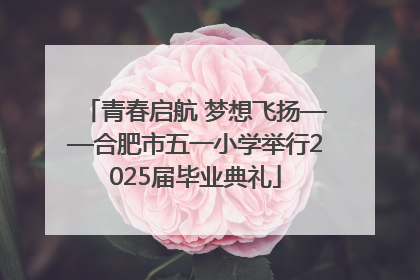 青春启航 梦想飞扬——合肥市五一小学举行2025届毕业典礼