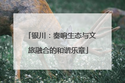 银川：奏响生态与文旅融合的和谐乐章