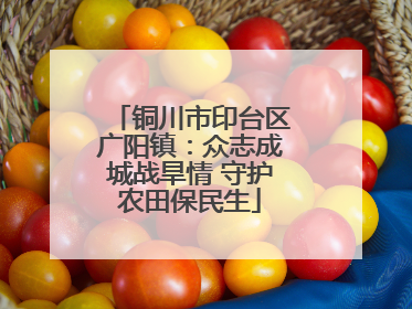 铜川市印台区广阳镇：众志成城战旱情 守护农田保民生