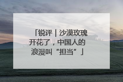 锐评｜沙漠玫瑰开花了，中国人的浪漫叫“担当”