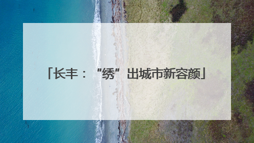 长丰：“绣”出城市新容颜