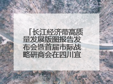 长江经济带高质量发展版图报告发布会暨首届市际战略研商会在四川宜宾成功举办