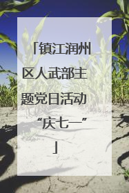 镇江润州区人武部主题党日活动“庆七一”