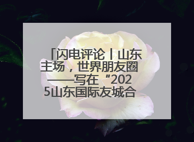 闪电评论丨山东主场，世界朋友圈——写在“2025山东国际友城合作交流周”之际