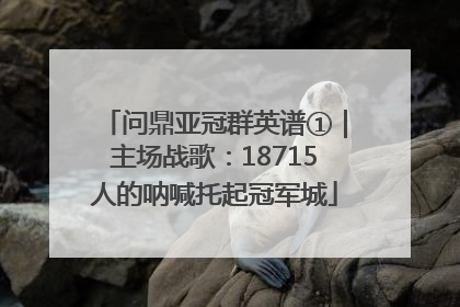 问鼎亚冠群英谱①｜主场战歌：18715人的呐喊托起冠军城