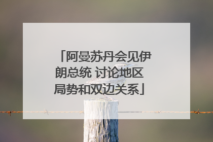 阿曼苏丹会见伊朗总统 讨论地区局势和双边关系