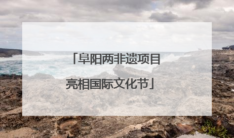 阜阳两非遗项目亮相国际文化节