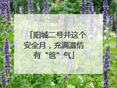 阳城二号井这个安全月，充满温情有“爸”气
