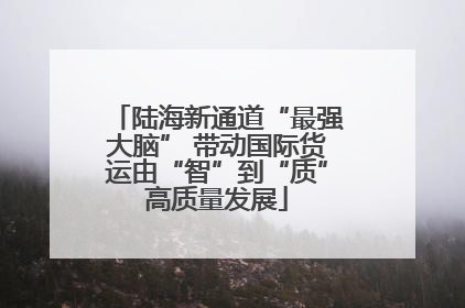 陆海新通道“最强大脑” 带动国际货运由“智”到“质”高质量发展
