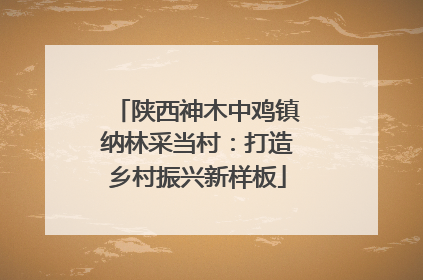 陕西神木中鸡镇纳林采当村：打造乡村振兴新样板