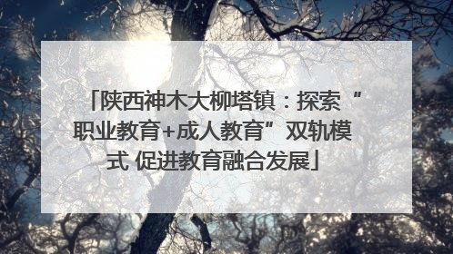 陕西神木大柳塔镇：探索“职业教育+成人教育”双轨模式 促进教育融合发展