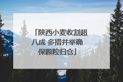 陕西小麦收割超八成 多措并举确保颗粒归仓