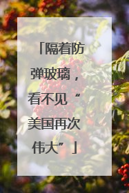 隔着防弹玻璃，看不见“美国再次伟大”