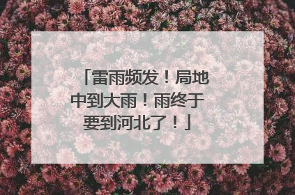 雷雨频发！局地中到大雨！雨终于要到河北了！