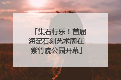 集石行乐！首届海淀石刻艺术周在紫竹院公园开幕