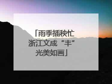 雨季插秧忙 浙江文成“丰”光美如画