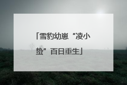 雪豹幼崽“凌小蛰”百日重生