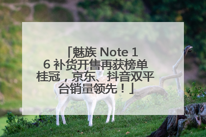 魅族 Note 16 补货开售再获榜单桂冠，京东、抖音双平台销量领先！