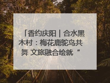 香约庆阳｜合水黑木村：梅花鹿鸵鸟共舞 文旅融合绘就“诗与远方”