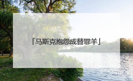马斯克抱怨成替罪羊